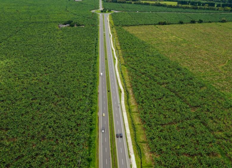 5 acciones básicas que puedes realizar en tu vida diaria para reducir tu huella de carbono